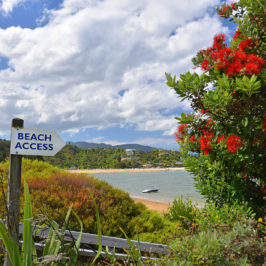 The 10 best family beaches in New Zealand