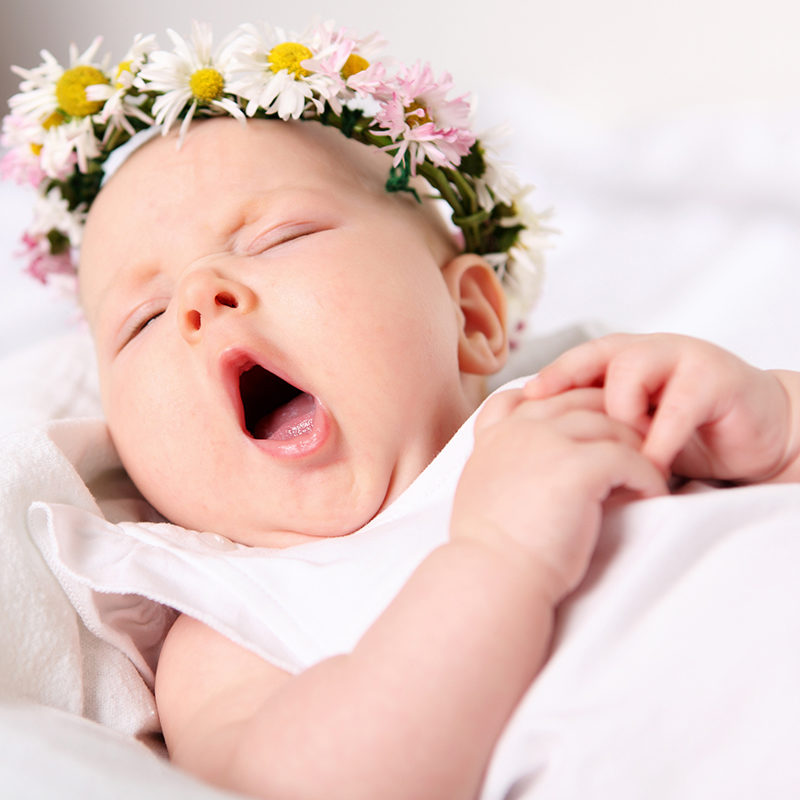 New Zealand's top 10 brands Choice New Zealand