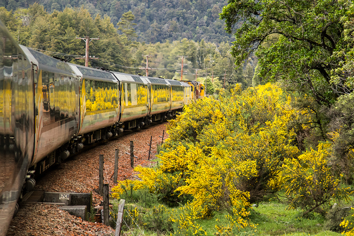 scenic train trips new zealand